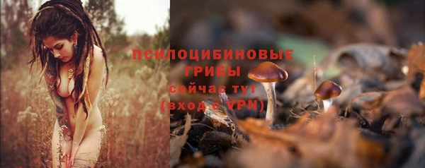 стафф Березники