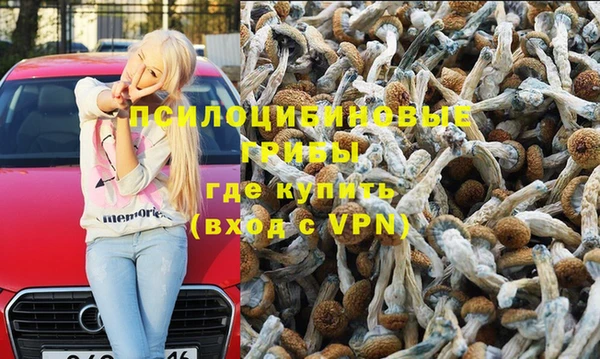 спиды Аркадак
