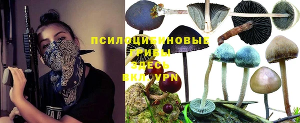 спиды Аркадак